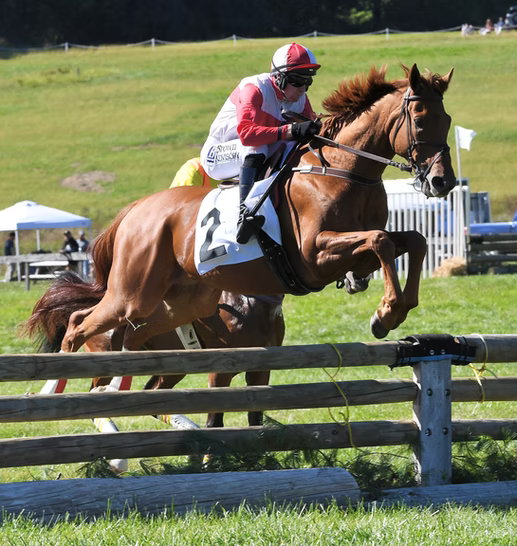 Steeplechase action at Shawan Downs